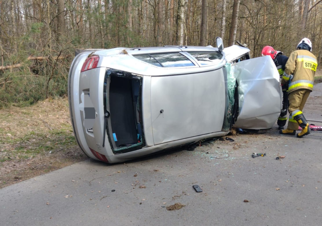 Auto rozbiło się na drzewie. Kierująca miała prawo jazdy zaledwie od 3 miesięcy
