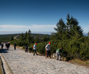 Karkonoski Park Narodowy, UNEP/GRID-Warszawa i Grupa Żabka