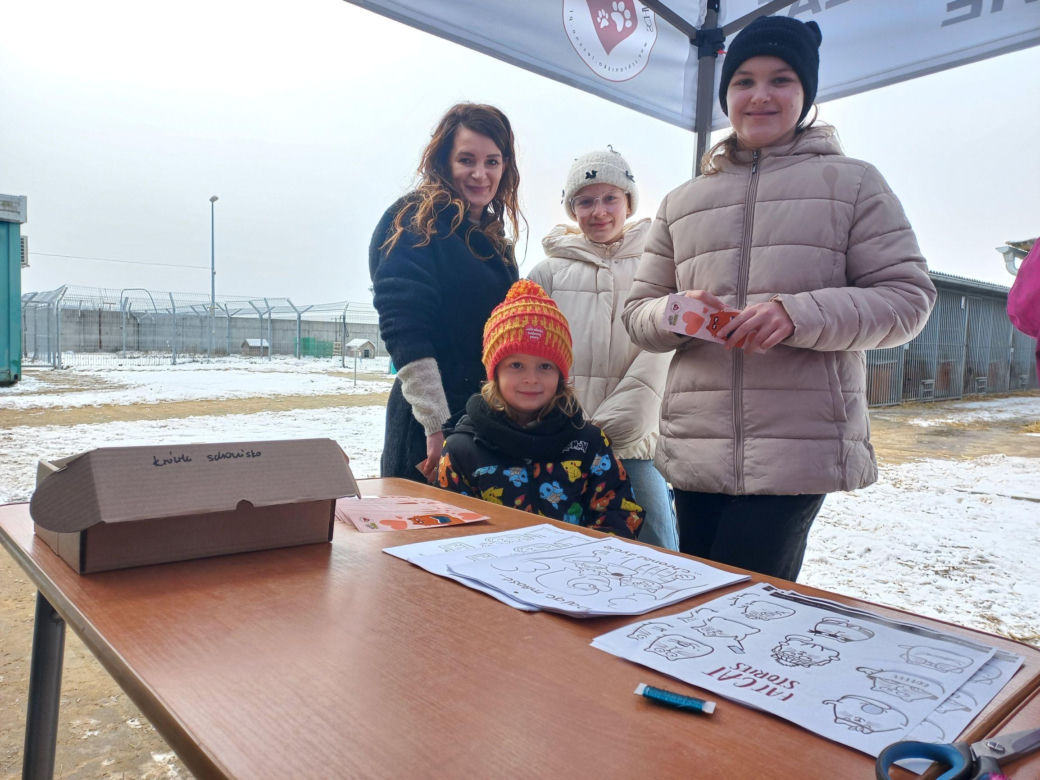 Mruczki w roli głównej. Dzień Kota w schronisku dla bezdomnych zwierząt w Henrykowie