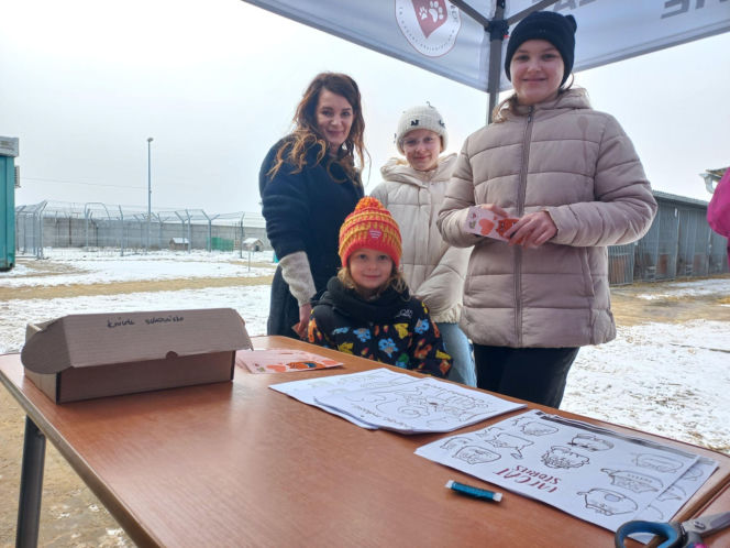 Mruczki w roli głównej. Dzień Kota w schronisku dla bezdomnych zwierząt w Henrykowie