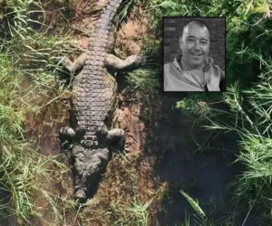 59-letni biznesmen pożarty przez ogromnego krokodyla. W brzuchu gada odkryto też dziecięce buty