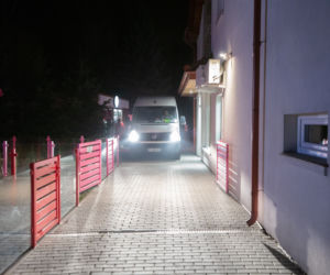 11 dogów niemieckich na granicy polsko-ukraińskiej