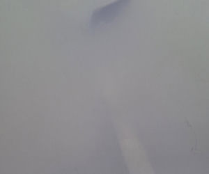 Koszmar w agroturystyce. Owce i daniele zagryzione, część zwierząt wrzucona do stawu!