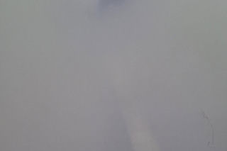 Koszmar w agroturystyce. Owce i daniele zagryzione, część zwierząt wrzucona do stawu!