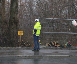 Wycinka drzew wzdłuż Wybrzeża Helskiego