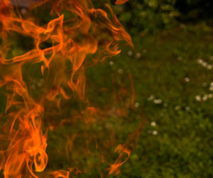 Drugi stopień zagrożenia pożarowego w lasach! Co to oznacza? 