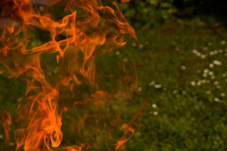 Drugi stopień zagrożenia pożarowego w lasach! Co to oznacza? 