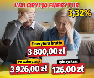 Fiszki waloryzacyjne