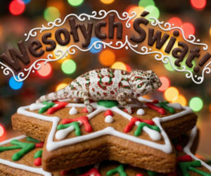 Życzenia świąteczne dla dzieci 2025 - krótkie, ciepłe i pełne magii