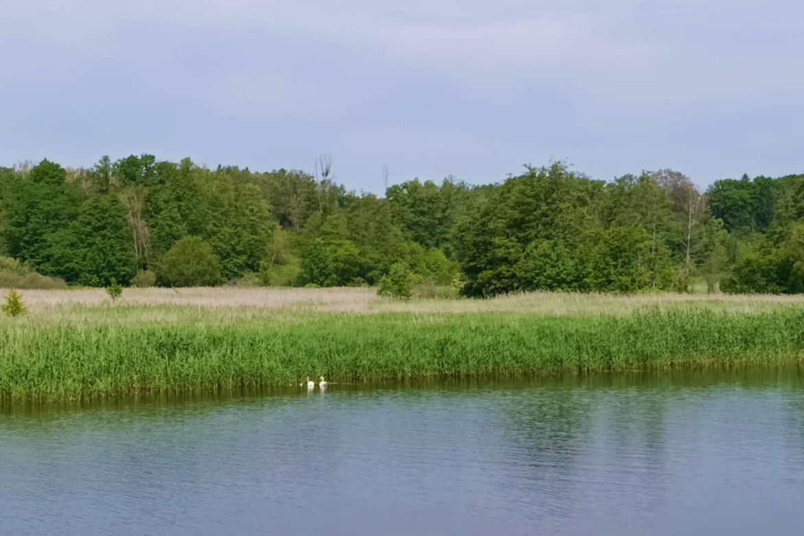 Tramwaj wodny Szczecin - Mescherin - Gartz
