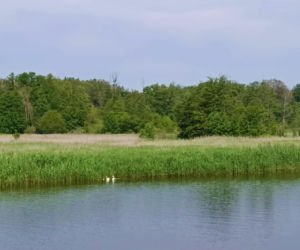 Tramwaj wodny Szczecin - Mescherin - Gartz
