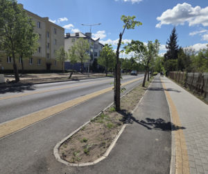 Tak się teraz jeździ na osiedlu Leśnym w Bydgoszczy. Nowa organizacja ruchu na ul. Sułkowskiego!