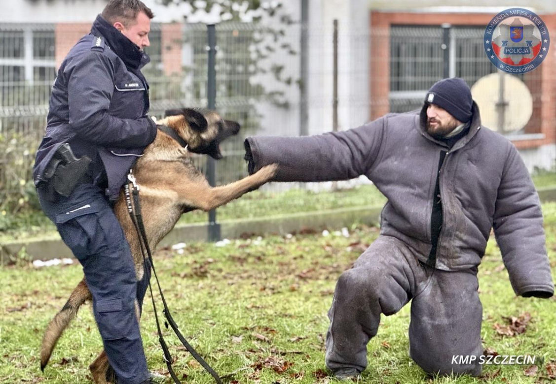 Nowe psy w zachodniopomorskiej policji