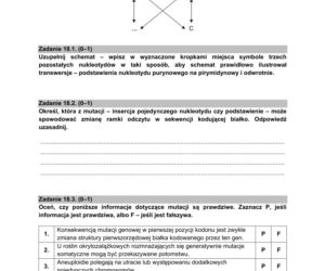 Matura próbna 2021: Biologia poziom rozszerzony. Arkusze CKE sprawdzisz TUTAJ