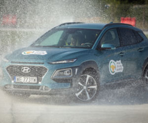 Energy Mix Arval 2020