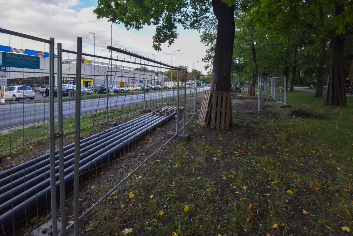 Park Glazja w Toruniu. Co dalej z zielonymi terenami?