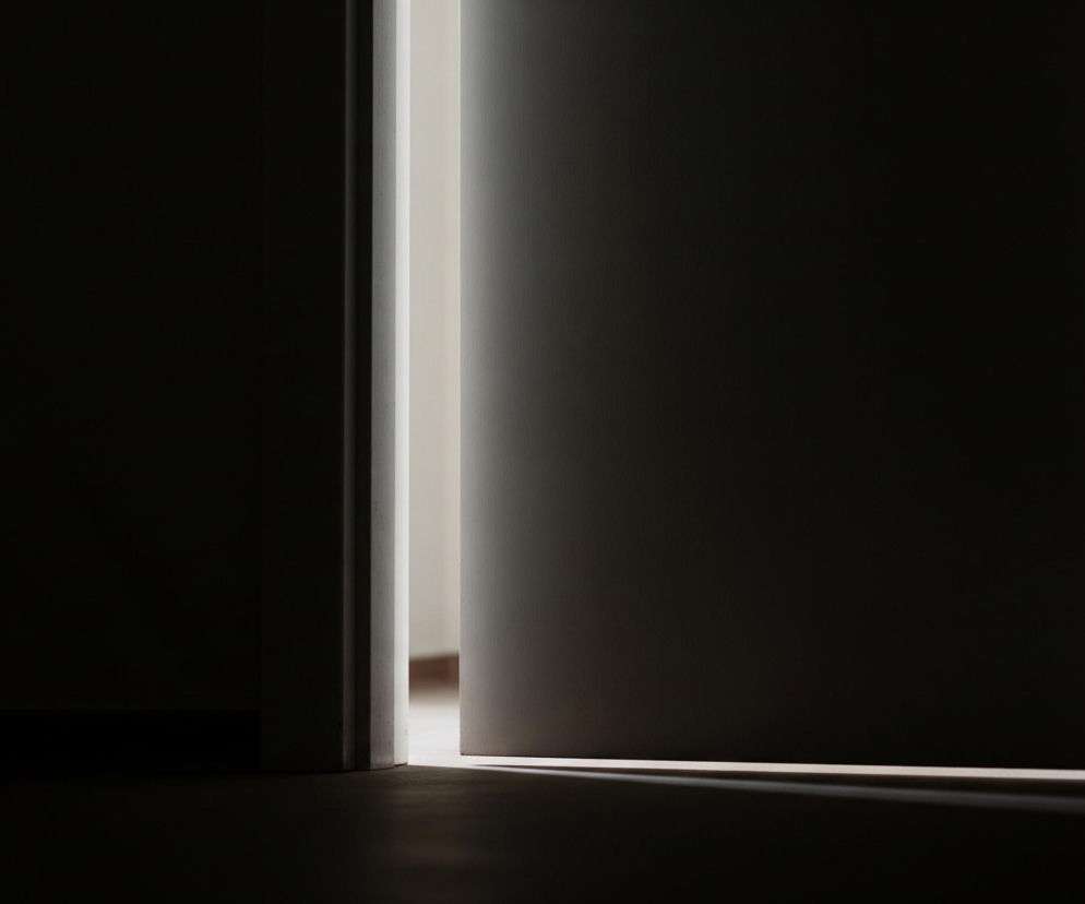 Drzwi są uchylone, tworząc pionową szczelinę jasnego światła w centralnej części obrazu. Większość sceny jest ciemna, z czarnymi ścianami po lewej i prawej stronie, a także ciemną podłogą, na którą pada smuga światła z otwartej przestrzeni. W prawym górnym rogu niewyraźnie widać fragment zawiasu drzwi, w kolorze ciemnoszarym.