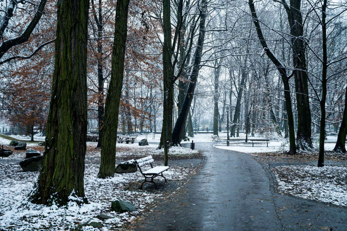 Skawiński park w zimowej otoczce