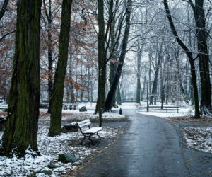 Skawiński park w zimowej otoczce