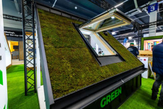 Możesz mieć żywy, zielony dach nad głową. Zielone pokrycie domu jednorodzinnego – jak to łatwo i szybko zrobić?