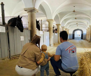 Stasio ma nowy dom. Rodzice pokochali go za zdjęcie z samochodzikiem