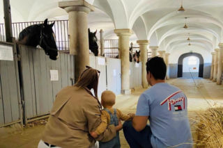 Stasio ma nowy dom. Rodzice pokochali go za zdjęcie z samochodzikiem