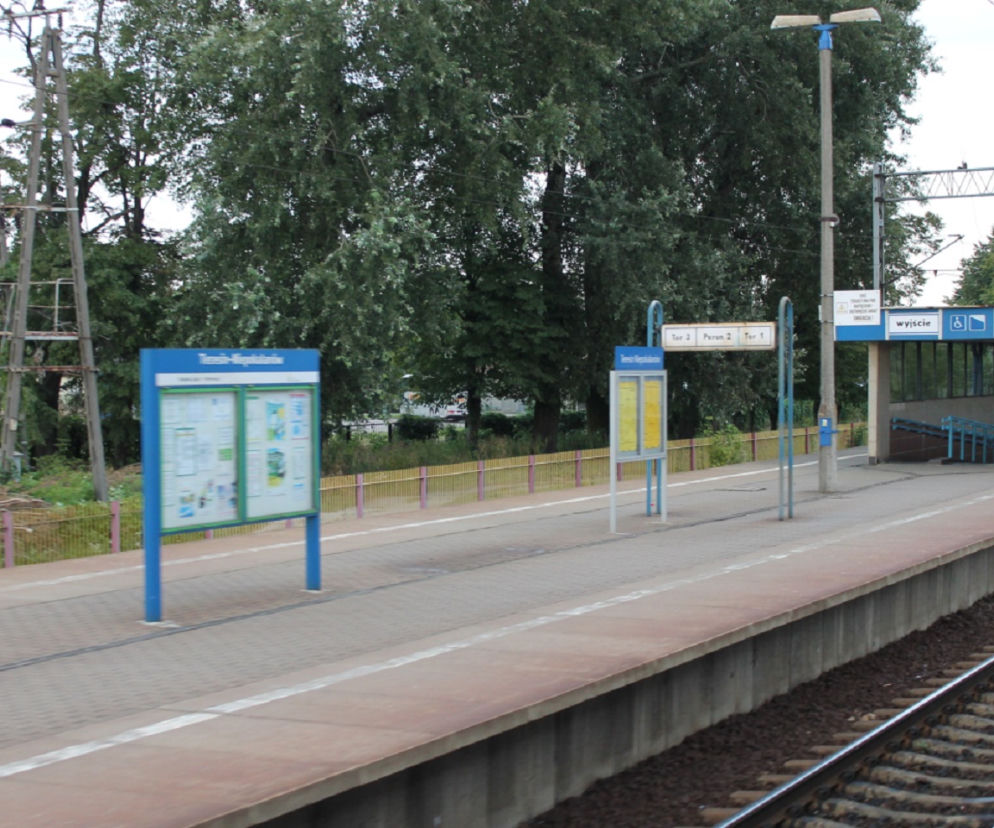 Nie żyje mężczyzna potrącony przez pociąg pod Sochaczewem