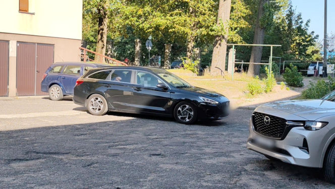 Doprowadzenie Radosława Piesiewicza