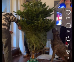 Jacek Rozenek - święta z żoną i synami