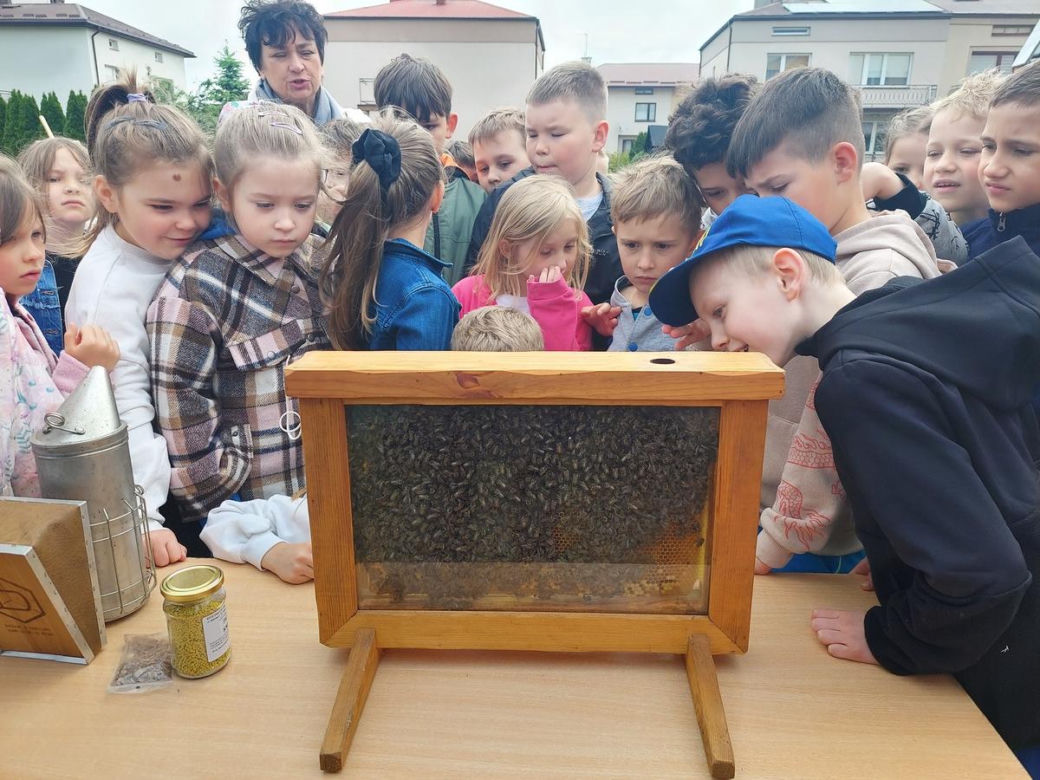 4. Miejskie Miodobranie w Zamościu