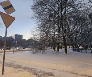 Zima zaatakowała Warmię i Mazury [30.12.2025]