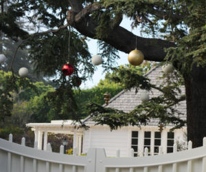 Rob Reiner i jego żona nie żyją. Ich syn aresztowany pod zarzutem zabójstwa.