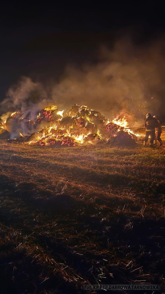 Seria pożarów w Gminie Olesno. Niespokojna noc na Powiślu Dąbrowskim