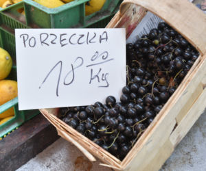 Za litr czarnych porzeczek trzeba zapłacić 18 zł, a za łubiankę nawet 25 zł