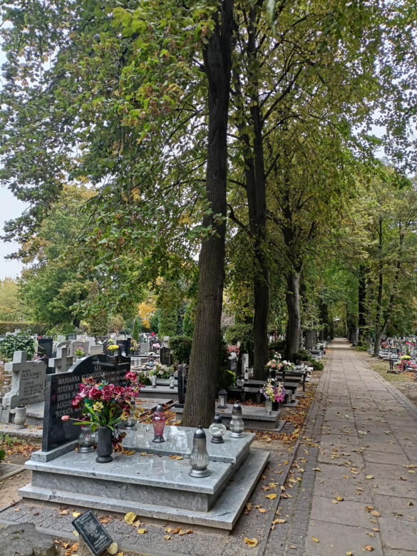 Ceny zniczy i wiązanek. Cmentarz Winiarski - Piątkowo Poznań