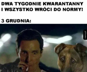 Memy o 2020 roku. Zapamiętamy go na długo! Dobrze, że już się kończy [ZDJĘCIA]