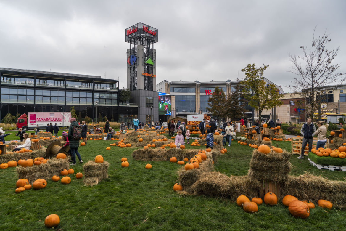 Farma Dyniowa przed galerią handlową Westfield Arkadia