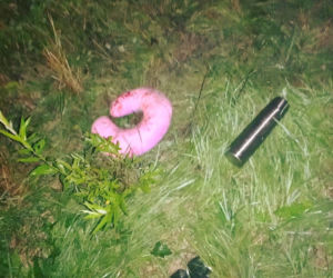 Tragiczny wypadek ukraińskiego autobusu w Leszczawie Dolnej