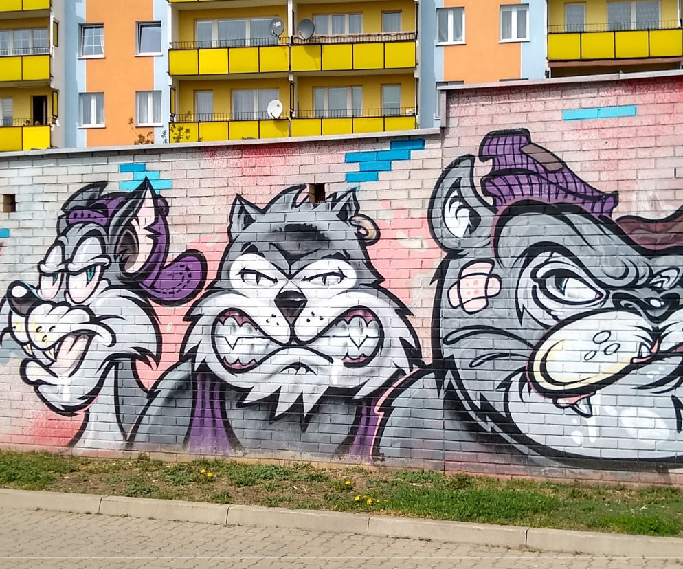 Świetne graffiti na Leśnej Dolinie [ZDJĘCIE DNIA]