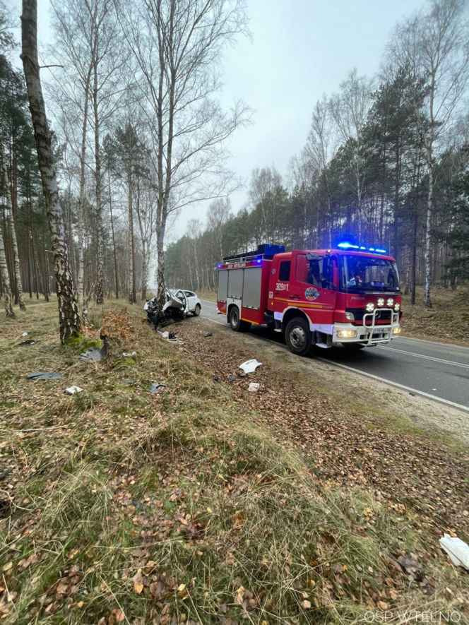 Groźny wypadek pod Bydgoszczą! Kierowca zakleszczony w aucie po uderzeniu w drzewo