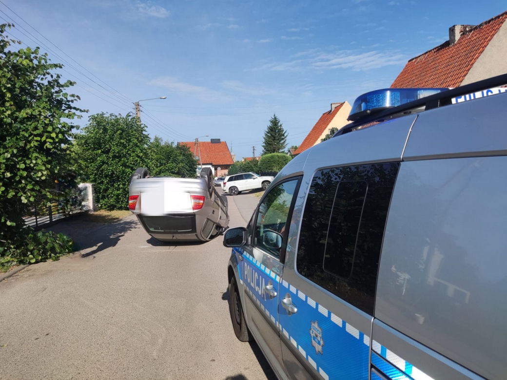 Ten trzmiel mógł ją zabić! Od tragicznej śmierci było o włos