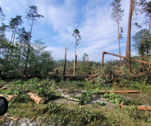 Potężna nawałnica przeszła przez Bory Tucholskie. Powalone drzewa, zablokowane drogi