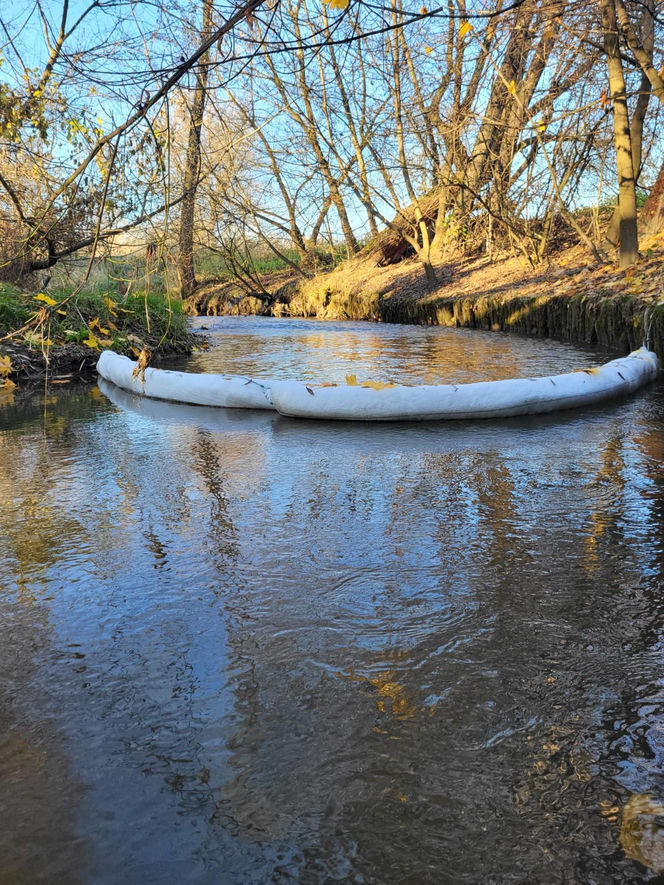 Na Białusze w Krakowie pojawiły się łapacze śmieci