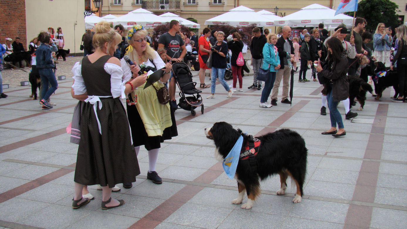 Tarnów w Tricolorze - Zjazd Berneńczyków