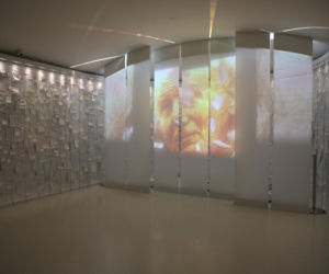 Tak zaczynała się historia Papieża Polaka. Przeszliśmy drogę życia Karola Wojtyły