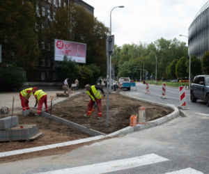 Więcej zieleni w Warszawie