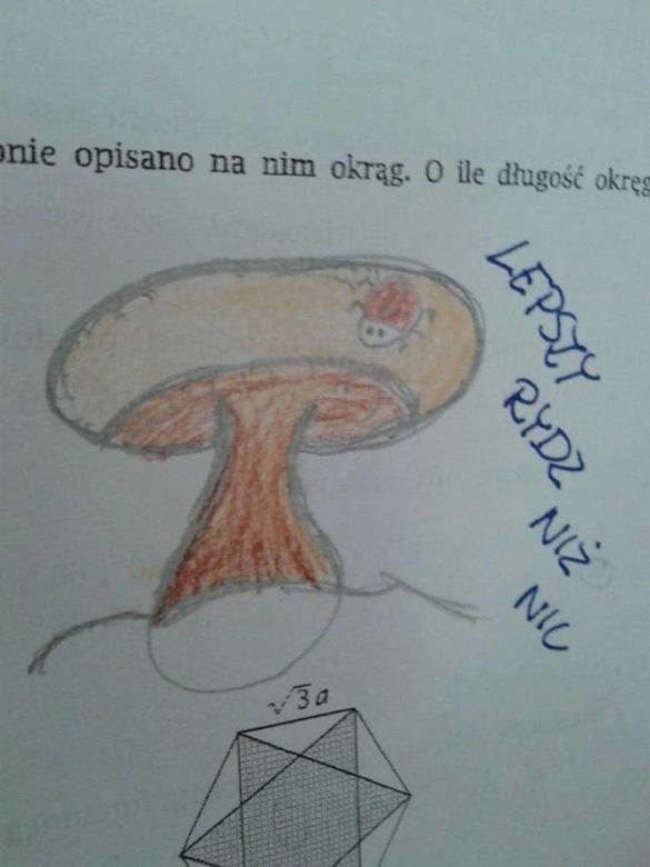 Hity z kartkówek i sprawdzianów. Tak uczniowie walczą o oceny na koniec roku szkolnego [GALERIA]
