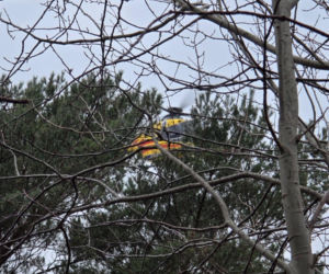 Tragiczny wypadek na Półwyspie Helskim