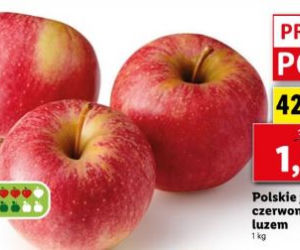 Lidl - promocje na sobotę