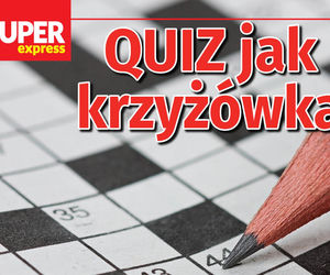 QUIZ. Hasła z krzyżówek. Uważaj, o pomyłkę jest naprawdę łatwo!